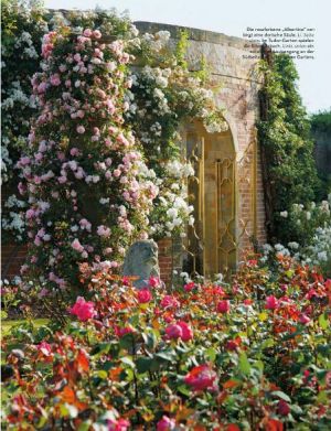 Photos - beautiful country houses - old house garden - roses.jpg